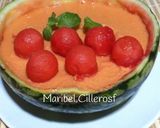 Foto del paso 4 de la receta Postre cremoso de sandía