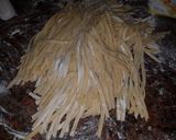 Foto del paso 6 de la receta: Fideos caseros!