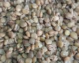 Foto do passo 1 de Salada de lentilha com rúcula e legumes