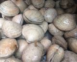 Foto del paso 1 de la receta: Pulmay en malla 🇨🇱👌🏻