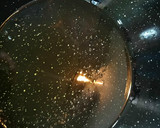 Foto del paso 1 de la receta: Conejo con níscalos