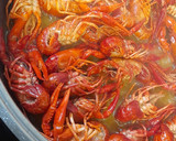 Foto del paso 2 de la receta: Cangrejo de río en salsa de vermut blanco de Reus