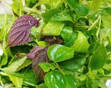 Hình bước làm 2 của món Mì Gói Nấu Trứng Thịt