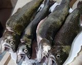 عکس مرحله 3 از دستور ماهی شکم پر کبابی🐟