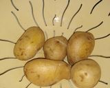 Foto del paso 1 de la receta: Papas aplastadas
