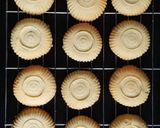 A picture of step 10 of Mamoul (Eid biscuits).