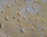 खोबा रोटी विद पंचरत्न दाल (Khoba roti with panchratan dal recipe in Hindi) रेसिपी चरण 2 फोटो