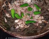 A picture of step 4 of Mango fry.