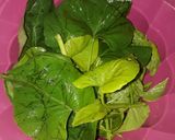 Foto langkah ke 2 dari resep Sayur Bening Daun Telo.