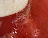 Watermelon sangriamatakin girki4 hoto
