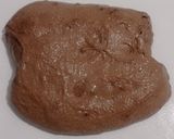 Foto langkah ke 12 dari resep Double Chocolate Sourdough Bread 80% (Oven Tangkring).