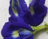 A picture of step 1 of Butterfly pea Flower Tea ☕ Healthy Drink 🍻.