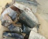 Foto langkah ke 1 dari resep Ikan Dencis ala Bumbu Sarden (tanpa duri).