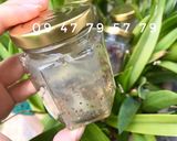 Hình bước làm 3 của món YẾN SÀO CHƯNG HŨ CẤT TỦ LẠNH UỐNG DẦN TRONG 7 ngày