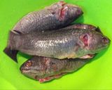 Hình bước làm 1 của món Cá rô canh dưa chua