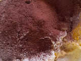 Semprit Coklat Putih Telur