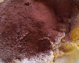 Foto langkah ke 3 dari resep Semprit Coklat Putih Telur.