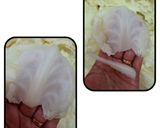 A picture of step 6 of Dolmeh Kalam (Persian Stuffed Cabbage Rolls).