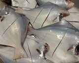 A picture of step 1 of Crispy crunchy Pomfret fried fish.