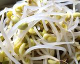 A picture of step 2 of Noodle in Soup.