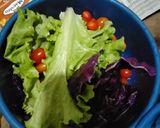 Foto langkah ke 2 dari resep Salad sayur anti ribet.