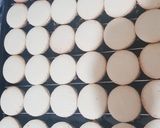 Foto del paso 4 de la receta: Alfajores de maizena