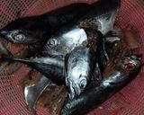 Foto langkah ke 1 dari resep Pindang ikan tongkol.