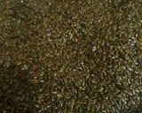 A picture of step 1 of Alsi ke ladoo.