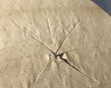 Une image de l'étape 1 de Pizza soleil au chorizo.