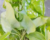 Hình bước làm 2 của món Lòng gà xào lá giang