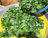 Foto langkah ke 3 dari resep Jangan Menir Daun Kelor.