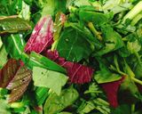 Hình bước làm 2 của món Canh Rau Tập Tàng Nấu Nấm Linh Chi Trắng