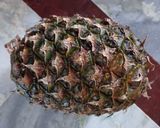 আনারসের চাটনি (pineapple chutney recipe in bengali) রেসিপি ধাপ - 1 ছবি