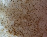 A picture of step 3 of Paratha with raita.