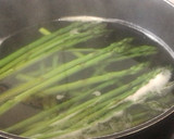 Foto del paso 1 de la receta: Canelón de Espárrago