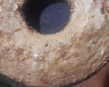 Foto del paso 5 de la receta: Budín de mandarina en licuadora