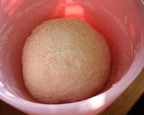 Foto del paso 4 de la receta: Una, de tantas masas madre