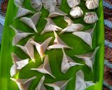 Foto langkah ke 2 dari resep Wonton Soup / Pangsit Rebus.