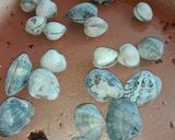 Foto del paso 2 de la receta Macarrones de mar