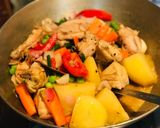 A picture of step 4 of Simple Chicken Stew: Bong Style.