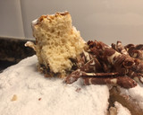 Foto del paso 17 de la receta: Bizcocho de leche con pepitas de chocolate