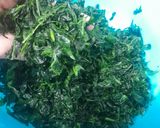Foto langkah ke 1 dari resep Oseng Daun Pepaya Jepang Pindang Tongkol.