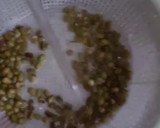 Foto del paso 1 de la receta: Brotes de mungo (mal llamados brotes de soja) 🌱 🫘