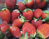 Foto del paso 1 de la receta: Frutillas con crema de queso (para diabéticos)