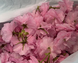 A picture of step 1 of Japanese Salted Cherry Blossom 🌸.