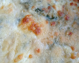 Foto del paso 5 de la receta: Milanesas de pencas con acelgas gratinadas