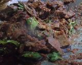 Gambar langkah 4 resipi Paru masak kicap bersama daun basil & daun salam.