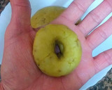 Foto del paso 13 de la receta: Rosquillas de matalahúva y limón con costra de panela