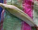 Foto del paso 1 de la receta: Espesado de quintonil (Espesado de yua shiti)
