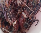Foto langkah ke 1 dari resep Lobster garlic butter.